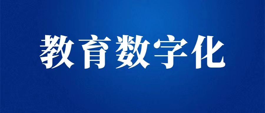 省人民政府办公厅关于印发《湖北省教育数字化战略行动计划（2023-2025年）》的通知